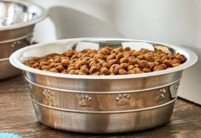 Vibrant Life Stainless Steel Paw & Beads Imprint Dog Bowl Medium Vibrant Life Stainless Steel Paw & Beads Imprint Dog Bowl Medium
